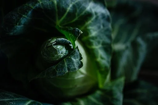 1618451067120907.png 菜.png