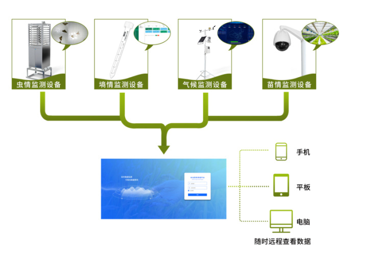 农业四情监测预警办理体系